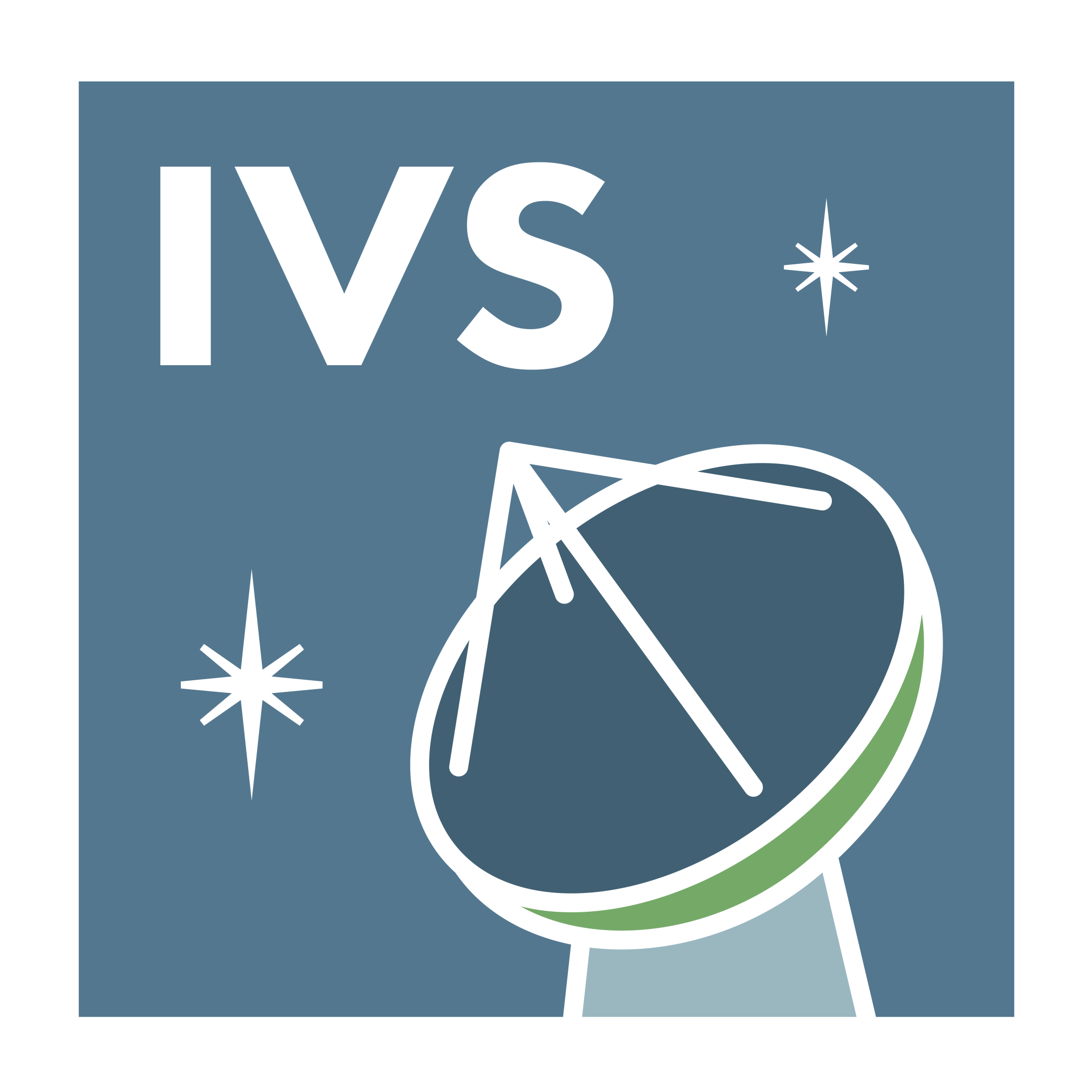 IVS